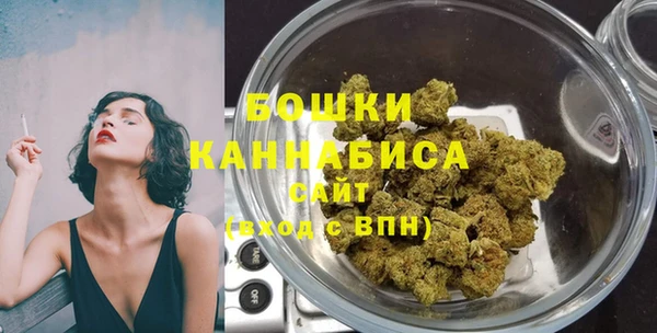 трава Медвежьегорск