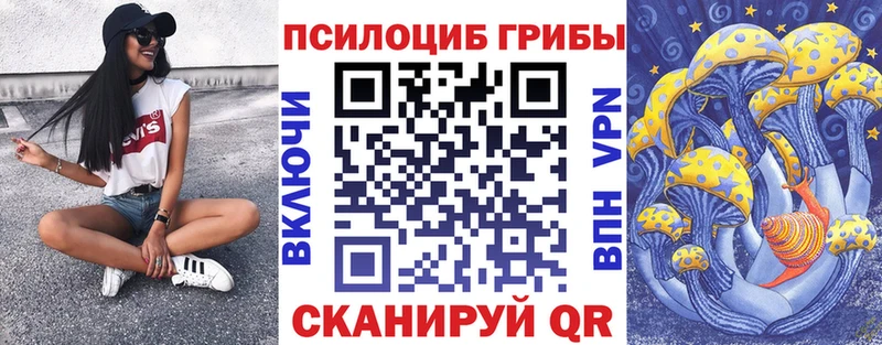 Псилоцибиновые грибы Cubensis  сайты даркнета как зайти  Орлов  где найти наркотики  hydra сайт 